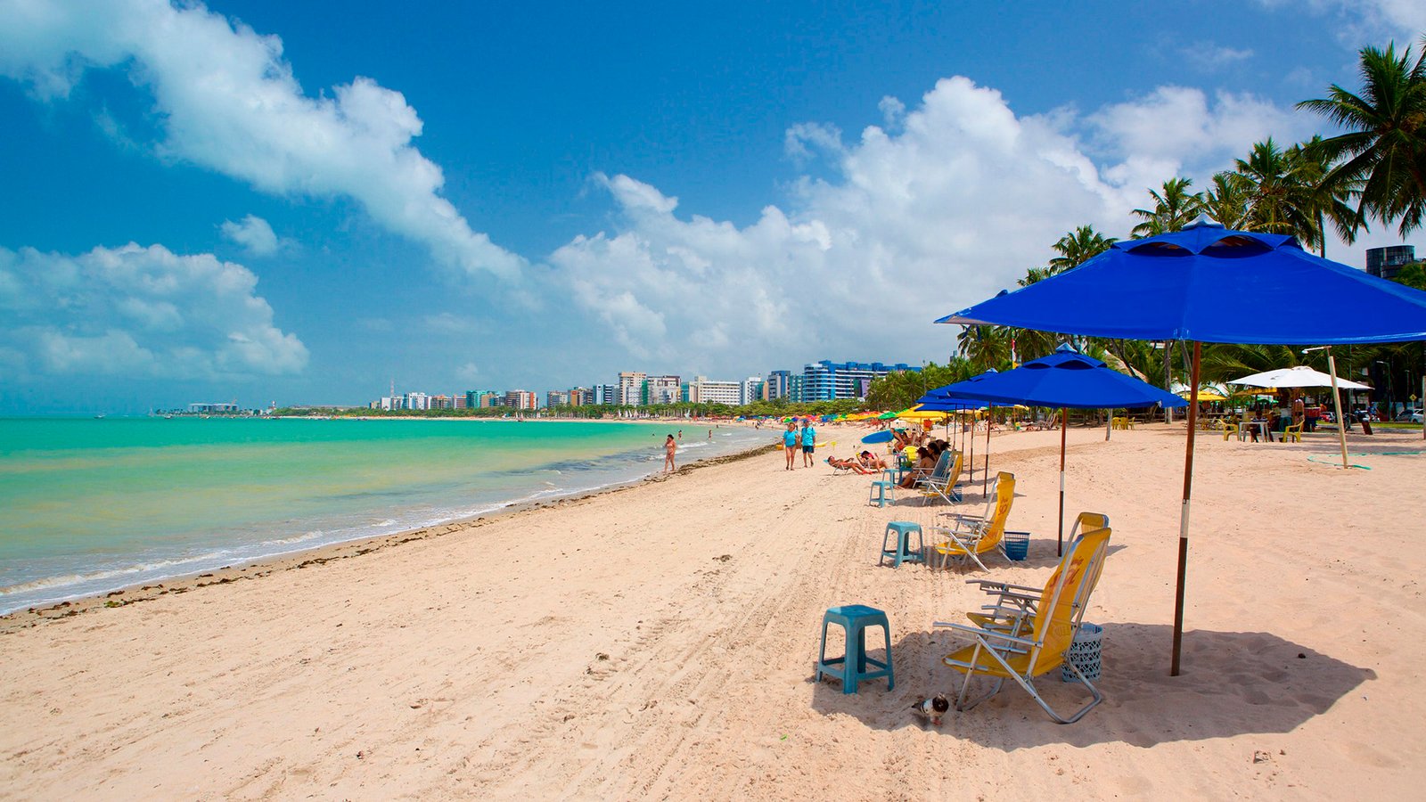 paquetes para viaajr a maceio buenavista viajes