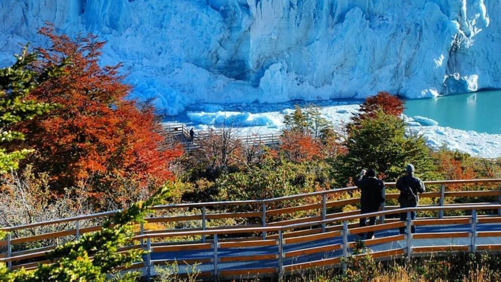 Paseo por las pasarelas Parque Nacional Los Glaciares