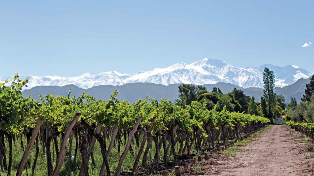 Paquete a Mendoza 5 dias con excursiones