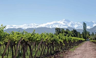 Paquete a Mendoza 5 dias con excursiones