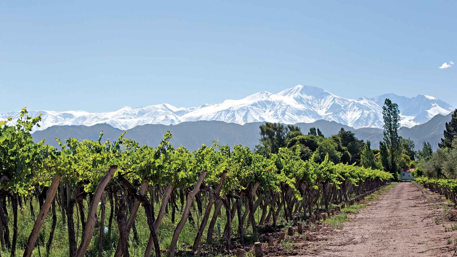Paquete a Mendoza 5 dias con excursiones