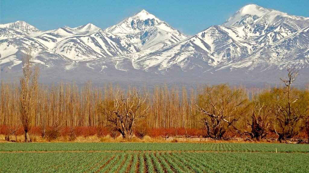 paquete a Mendoza
